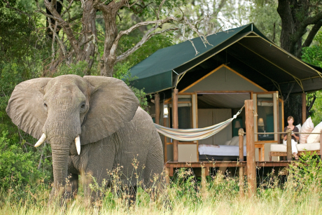 Moremi Game Reserve