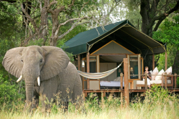 Moremi Game Reserve