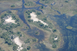 Okavango Delta