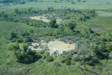 Okavango Delta