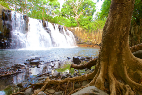 Black River Gorges Nationalpark