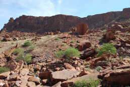 Twyfelfontein