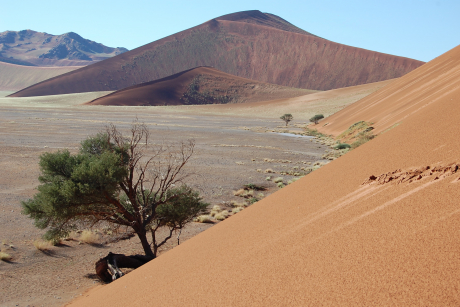 Sossuvlei