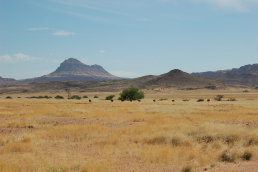 Damaraland