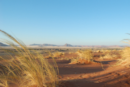 Namib Naukluft Park