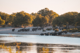 Caprivi