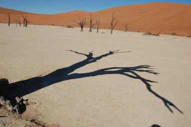 Namibia Deadvlei