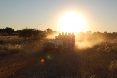 Namibia Safari