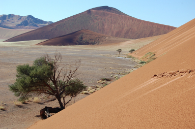 Sossusvlei Namibia