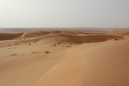 Wahiba Sands