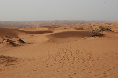 Wahiba Sands - Oman