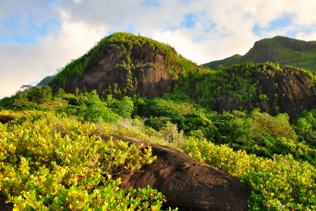 Mahé Anse Major Trail