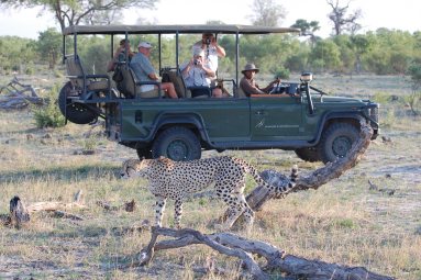 Südafrika Safari