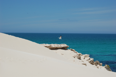 De Hoop Nature Reserve